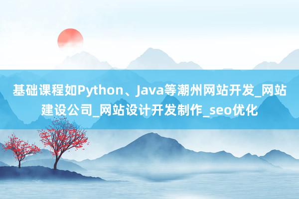 基础课程如Python、Java等潮州网站开发_网站建设公司_网站设计开发制作_seo优化
