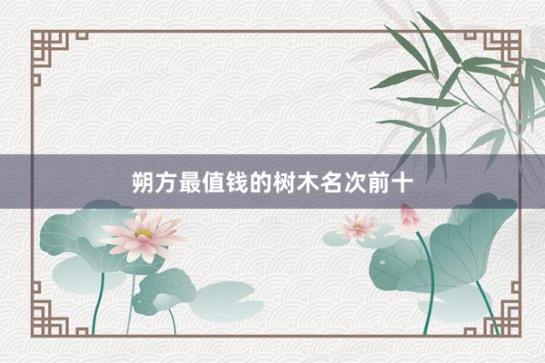 朔方最值钱的树木名次前十
