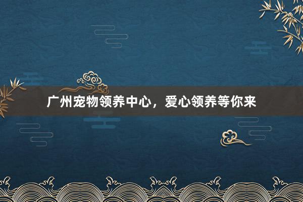 广州宠物领养中心，爱心领养等你来