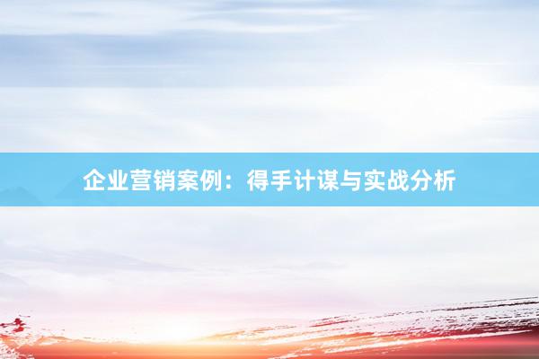 企业营销案例：得手计谋与实战分析